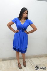 Swetaa Varma at Gang Of Gabbar Singh Movie Audio Launch